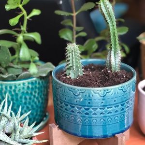 Meet your Posher, Shar